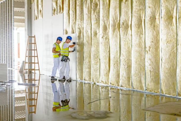 Best Commercial Insulation in Toronto, OH